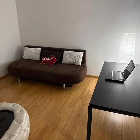 Апартаменты Craciun *